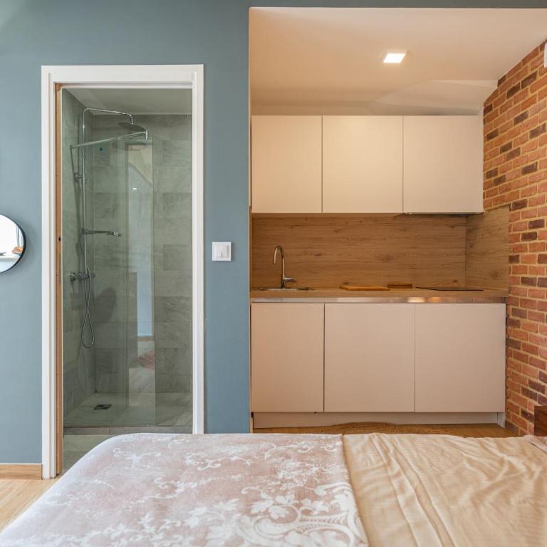 COSY STUDIO RENOVÉ 150m de MONACO - Appartement 1 Chambre - 4