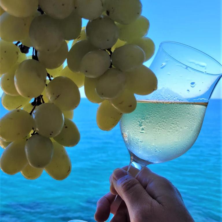 Calypso - Appartamento con Vista Mare - 28