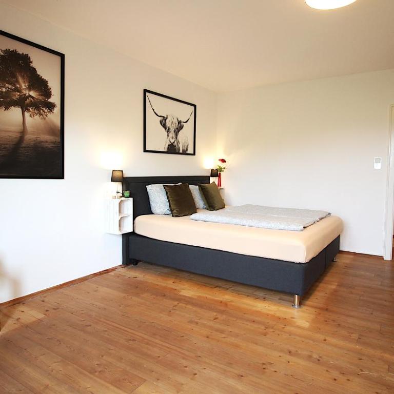 Zentrale Stadtwohnung - direkt am Main, Park-Ausblick - Apartment mit 1 Schlafzimmer - 3