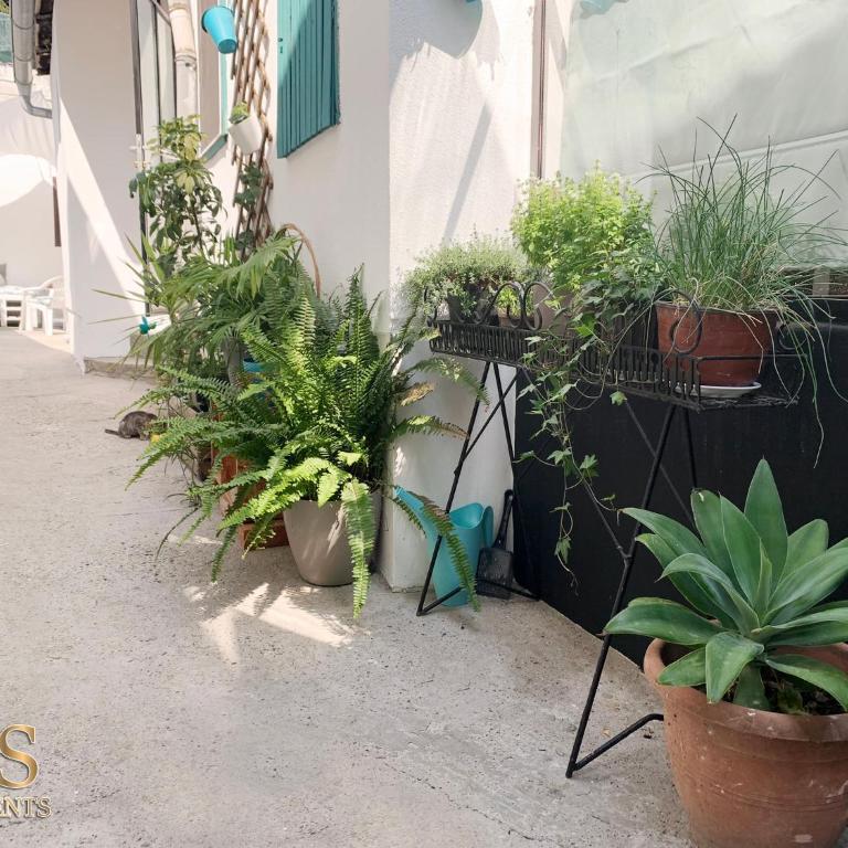 Stefan Apartman - Apartman sa 1 Spavaćom Sobom - 25