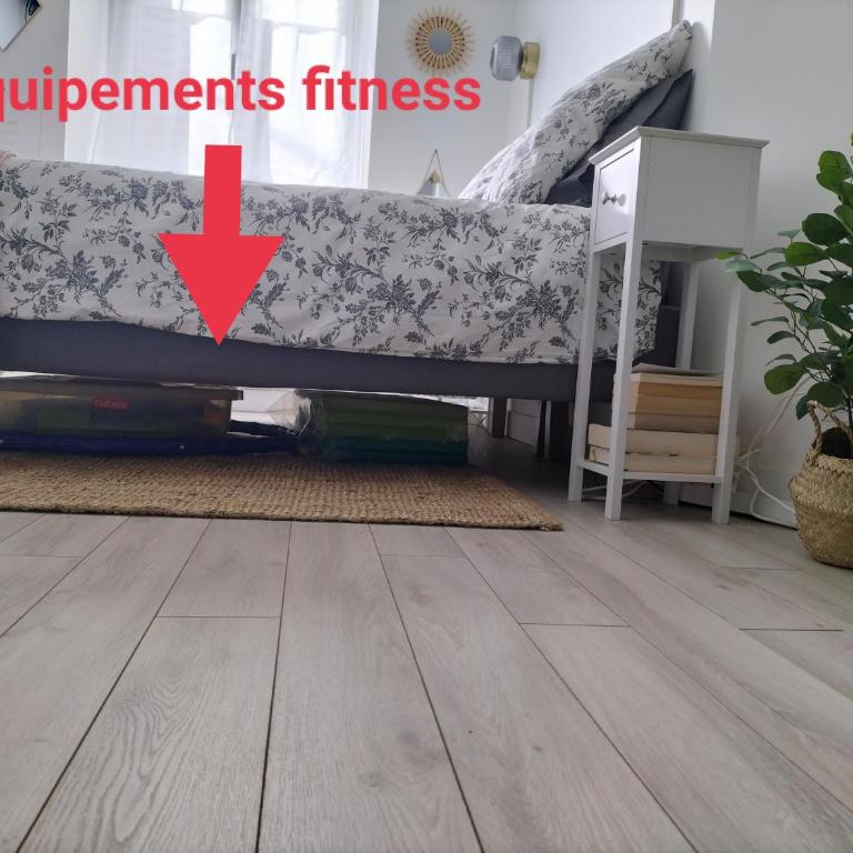 Orleans hypercentre articles fitness et Bebe - Appartement 1 Chambre - 2