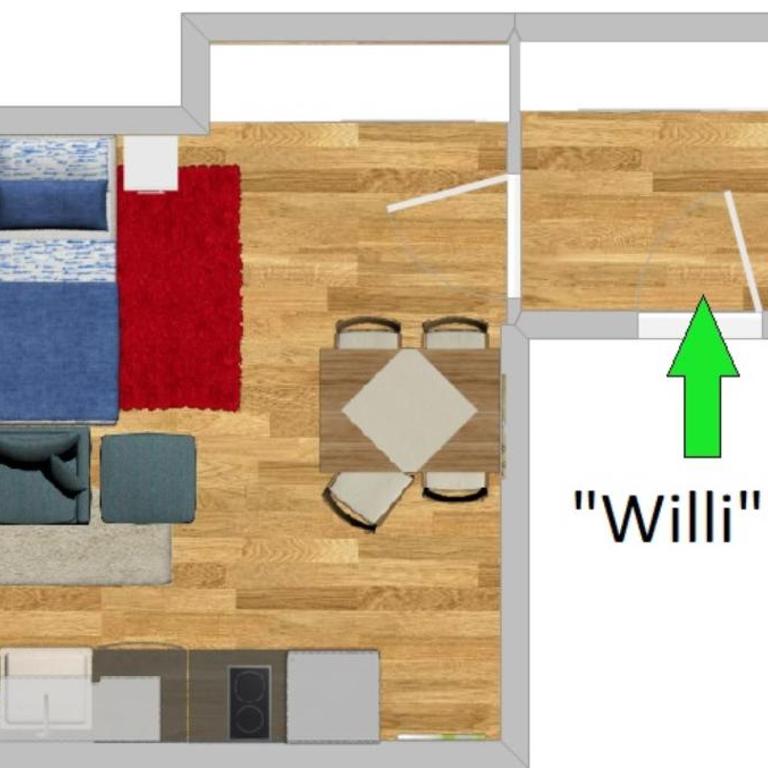 Ferienwohnungen am Schlossberg - Partner von Oberstaufen PLUS - Appartamento Monolocale con Balcone - 1