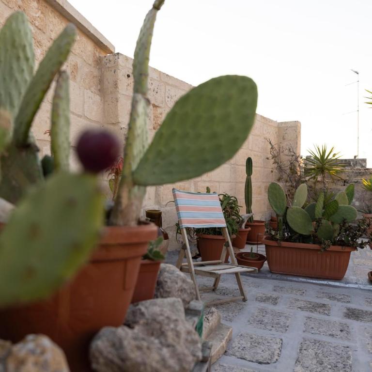 Antica Dimora dei Nonni - Studio with Terrace - 24