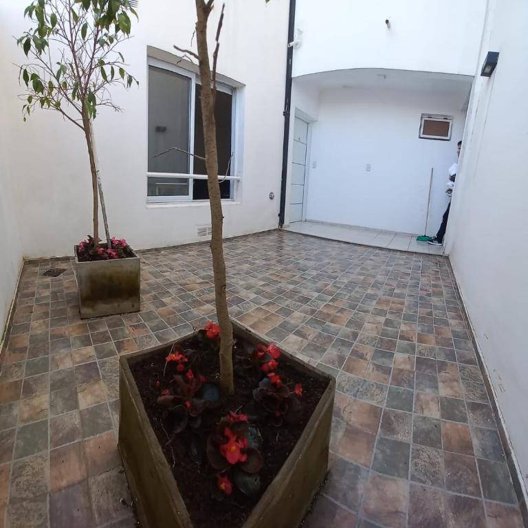 Alojamientos Litoral - 1 B - Apartamento de 2 dormitorios - 7