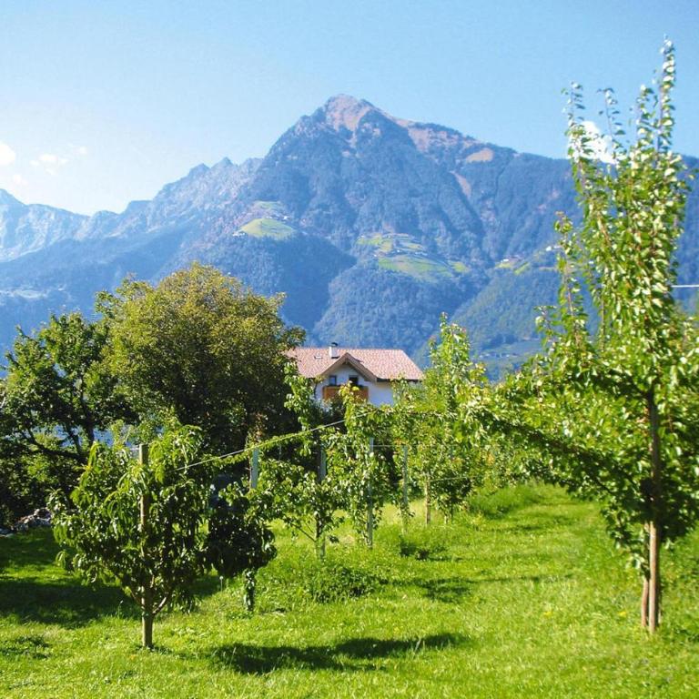 Apartment in Dorf Tirol near Spronser Lakes - Appartamento con 2 Camere da Letto - 4