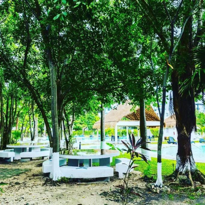 Hermoso apartamento piscina, céntrico, área libre. - Apartamento de 2 dormitorios - 27