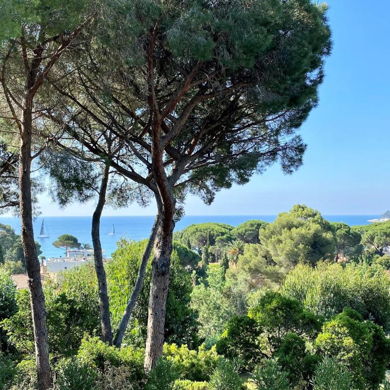 Villa 6 Chambres, Piscine, vue Mer, à Proximité de la Plage , Cavalaire-sur-mer - Villa - 11