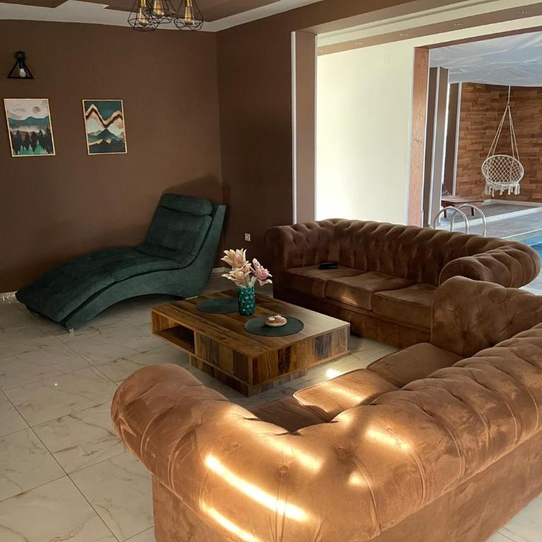 Vila Sky Kragujevac - Apartment with Pool View - 4