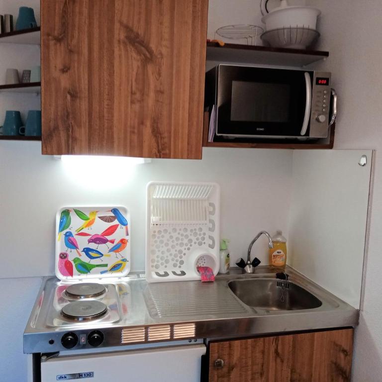 Appartement convivial - 4 personnes - FR-1-198-192 - Studio - 4