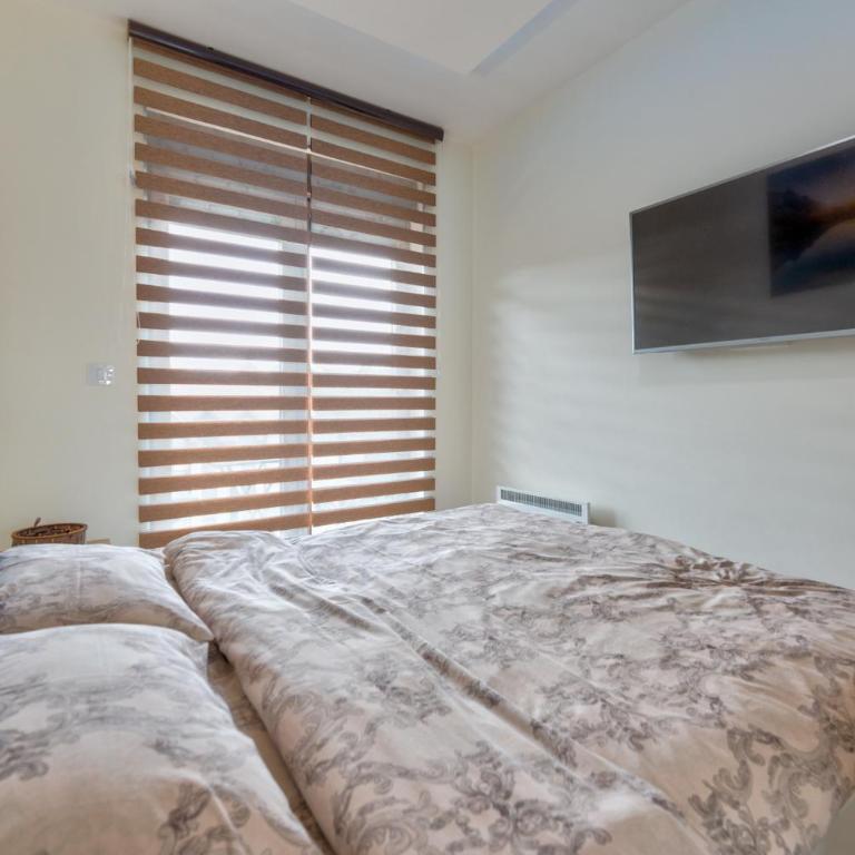 Apartmani Montis Zlatibor - One-Bedroom Apartment - 20