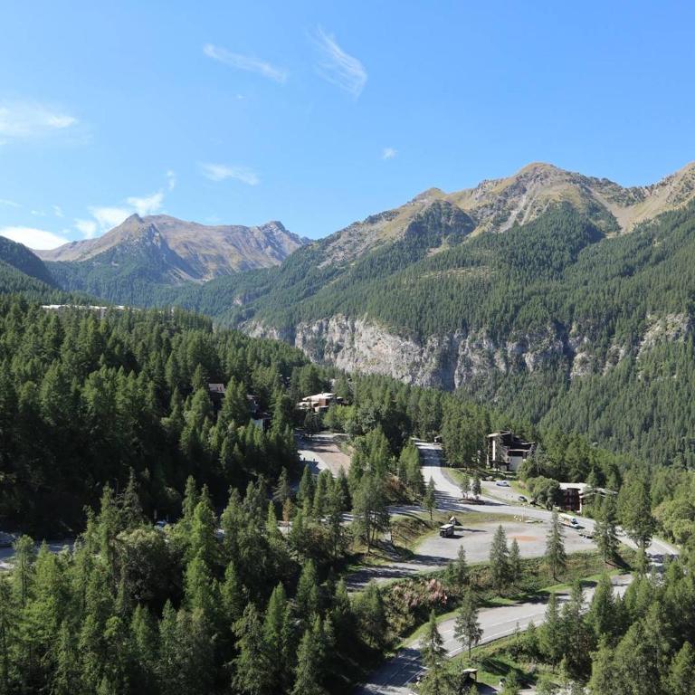 Appartement 2 pièces, 4/5 pers, accès pistes, parking, WiFi, animaux admis - FR-1-322-488 - Appartamento - 9