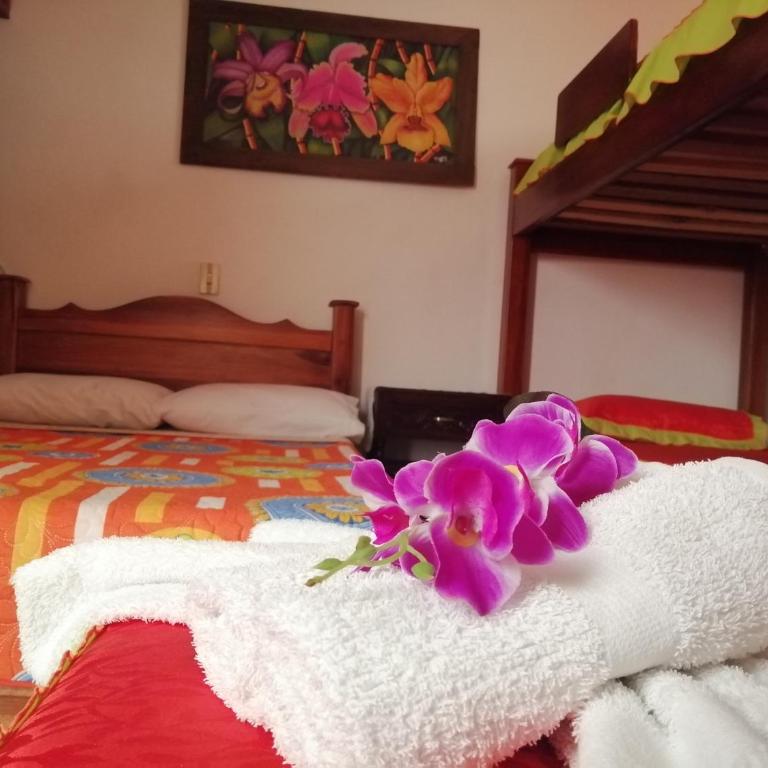 Las Orquídeas Jardín Casa Hotel - Three-Bedroom House - 12