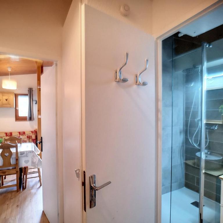 Studio rénové 4 pers, ski aux pieds - FR-1-178-183 - Studio - 11