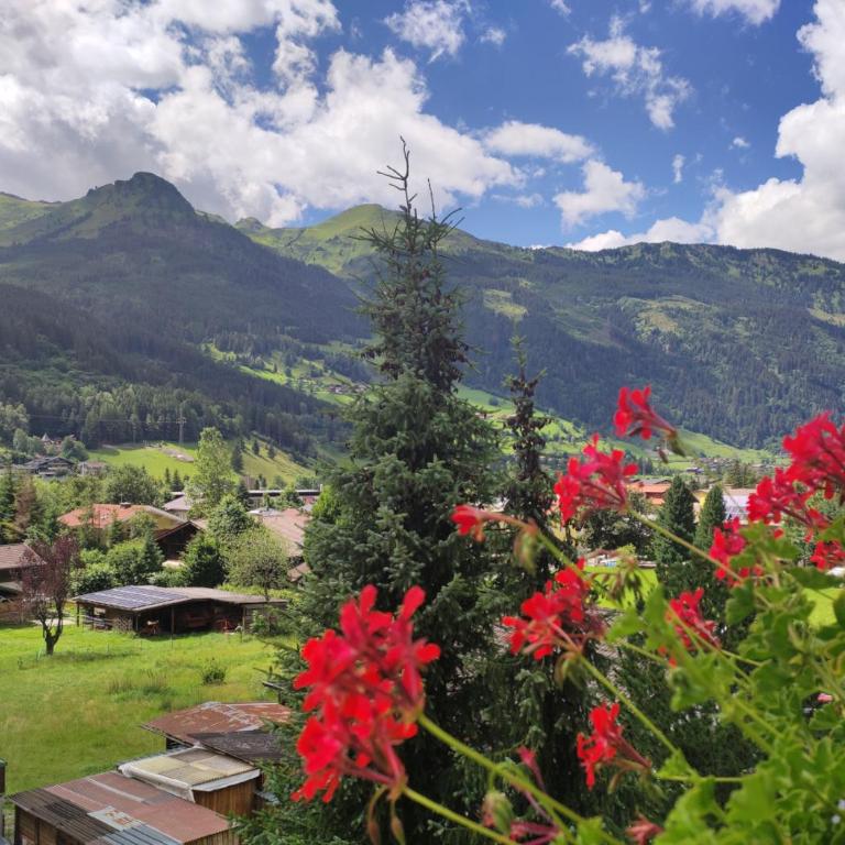Ferienhaus Birgit - inklusive Eintritt Alpentherme Bad Hofgastein - Großes Apartment mit Balkon (2-4 Personen) - 2