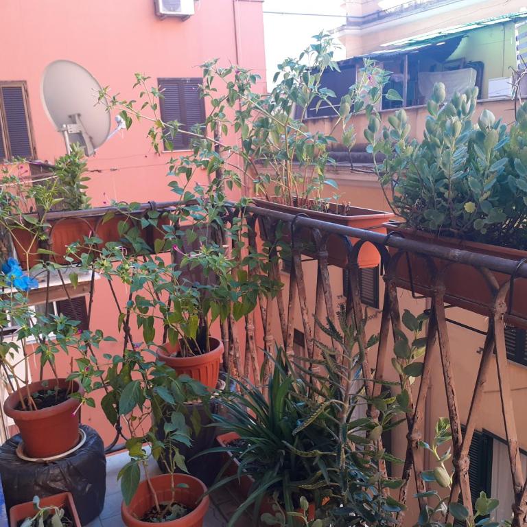 Napoleone Luxury Home roma - Small Double Room - 32