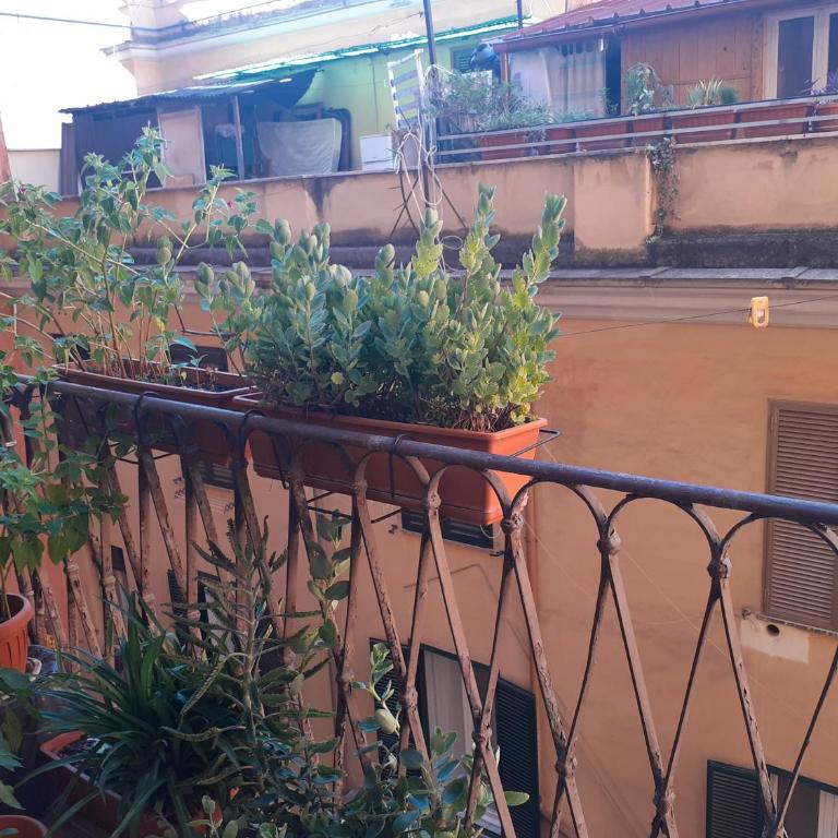 Napoleone Luxury Home roma - Small Double Room - 30