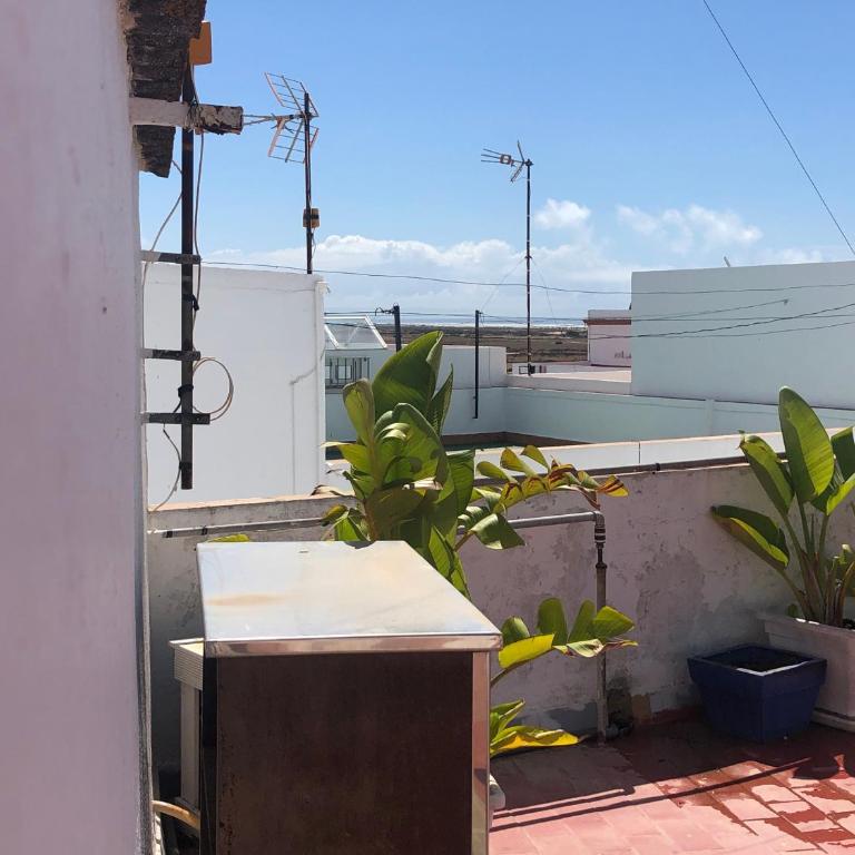 ABA Tropical & ABA Suite - Apartamento de 2 dormitorios - 3
