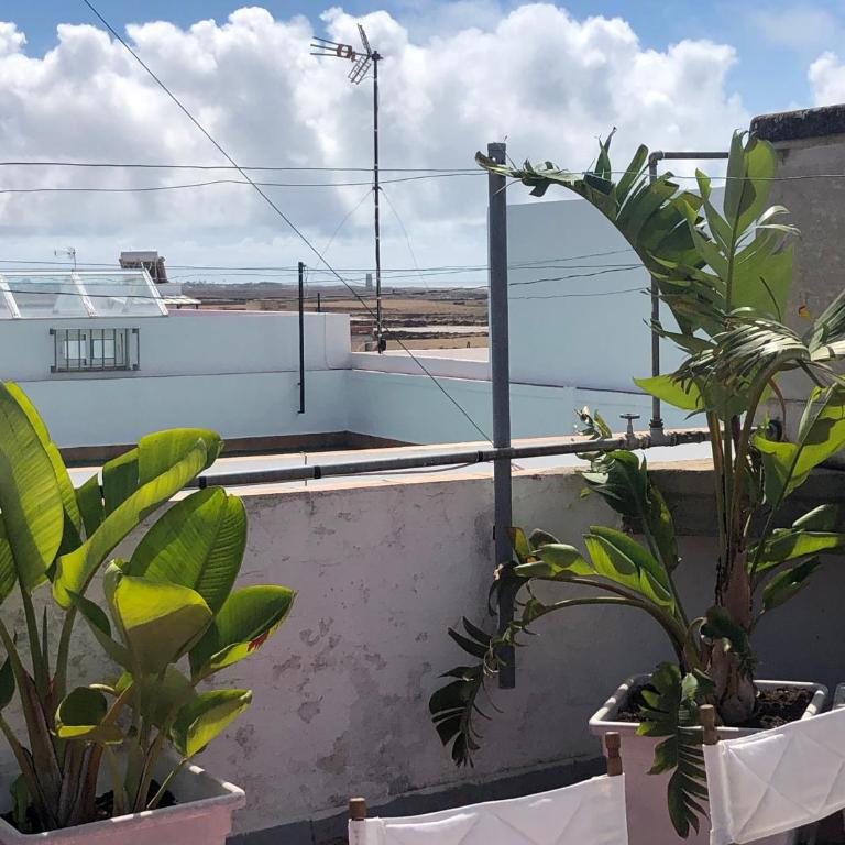 ABA Tropical & ABA Suite - Apartamento de 2 dormitorios - 2