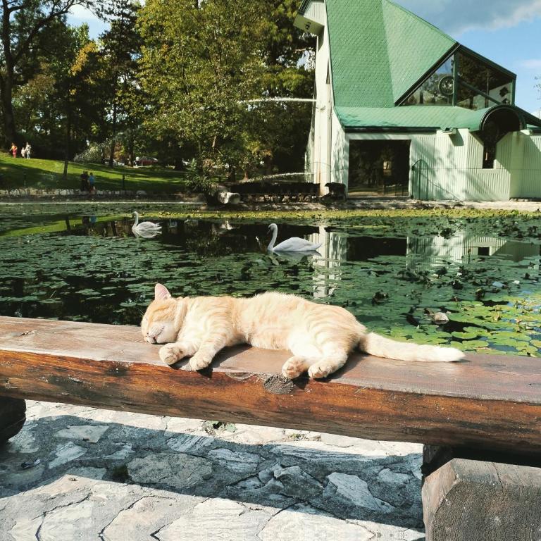 Apartman Ljubičica - Apartman sa 2 Spavaće Sobe - 28