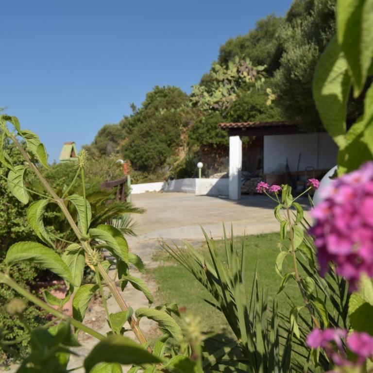 Villa Bellavista By La Via Del Mare Viaggi e Vacanze - Vacation Home - 16