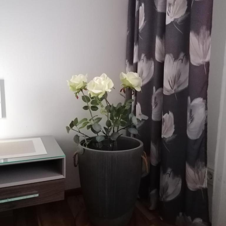 Apartment GINA - Apartment - 22