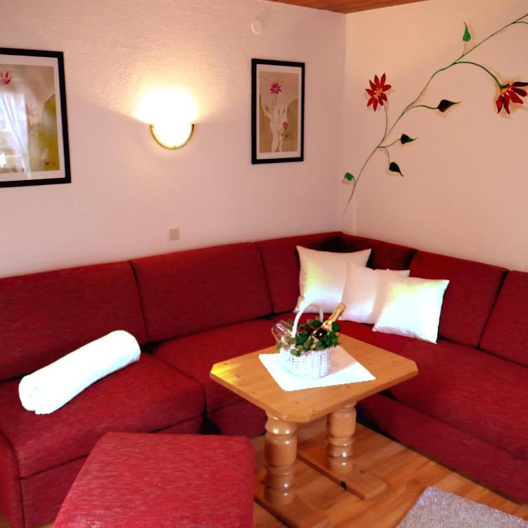 Haus Hoher Sattel - Apartment mit 1 Schlafzimmer und Balkon - 3