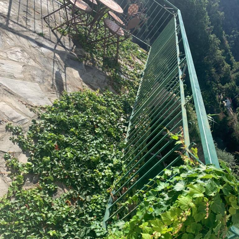 Corner of Paradise Moneglia - Casa Vacanze - 67