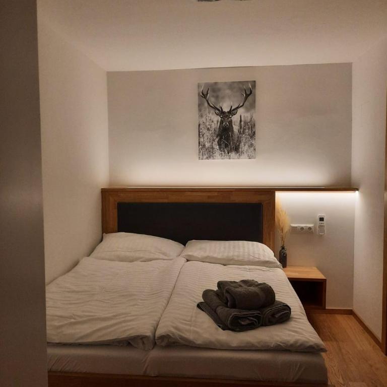 Mini-Apartment Admont - Apartment mit 1 Schlafzimmer - 6