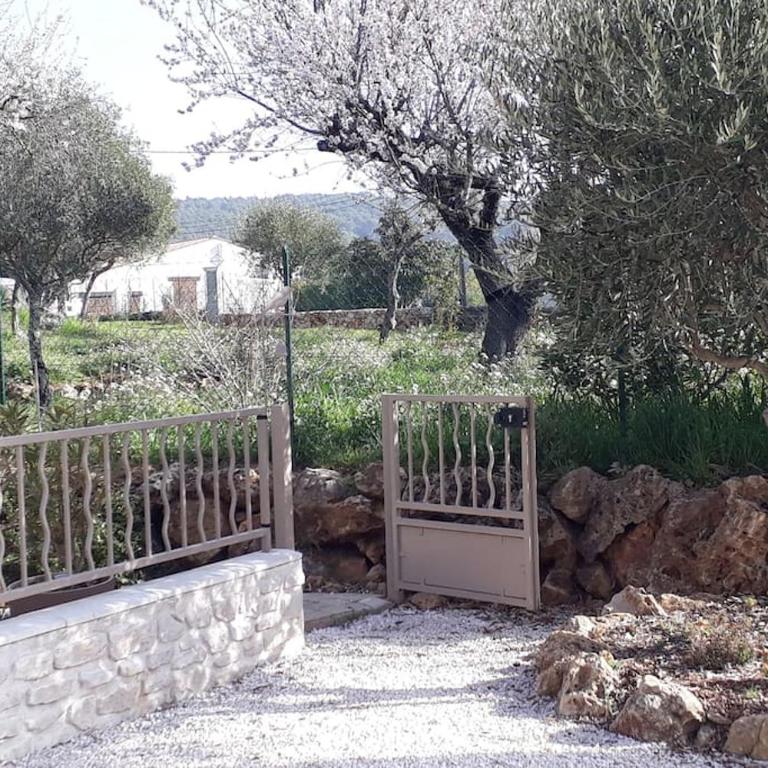 maison 2 ou 4 personnes jardin parking LES AMANDIERS - Maison 1 Chambre - 6