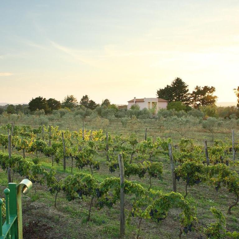 Agriturismo Il Marrugio - Villa con 4 Camere da Letto - Edificio Separato - 29