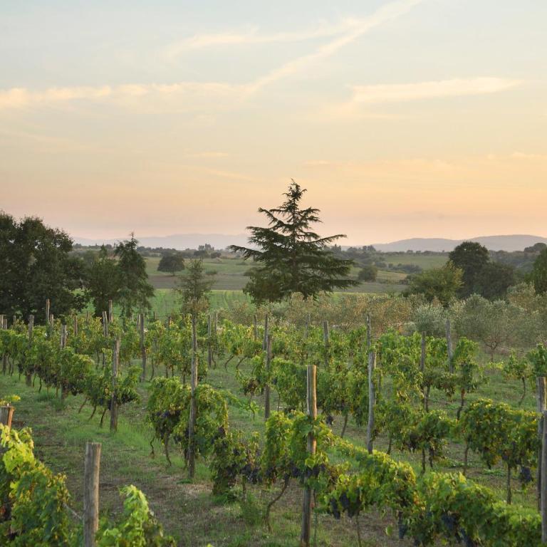 Agriturismo Il Marrugio - Villa con 4 Camere da Letto - Edificio Separato - 30
