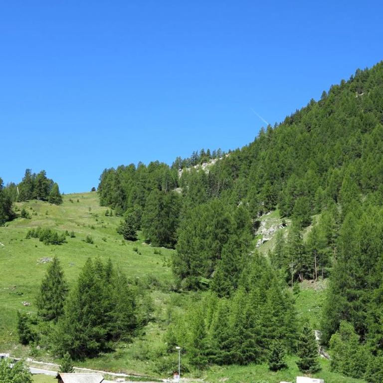 Cresta Ellie - Apartment mit Balkon - 23