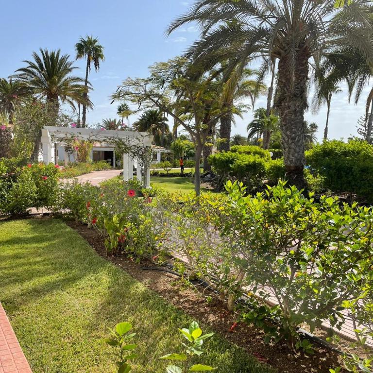 Rosa Golf - Appartamento con 1 Camera da Letto - 4