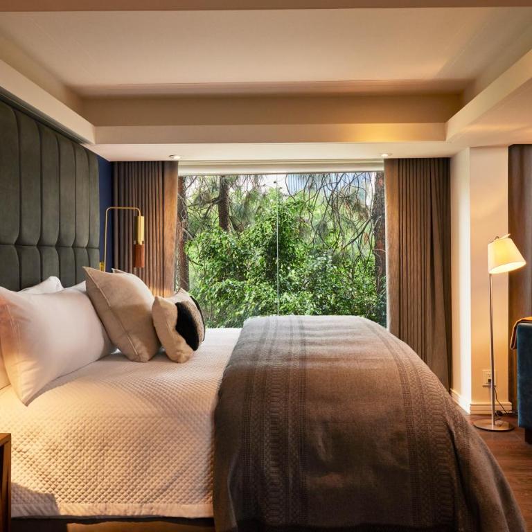 Campos Polanco - Suite with Balcony - 4