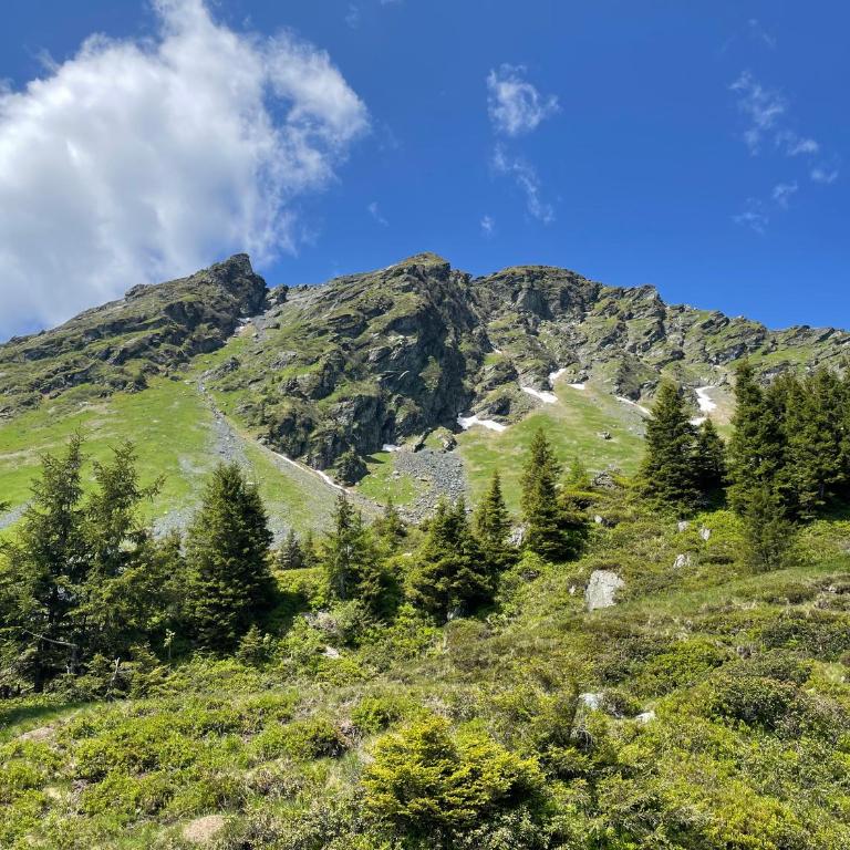 Landhaus Bergner Alm - Apartment mit Blick auf die Berge - 42