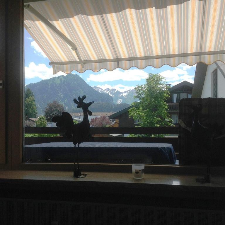 Alpenflair Ferienwohnung 228 Söllereck - Apartment mit 1 Schlafzimmer - 11