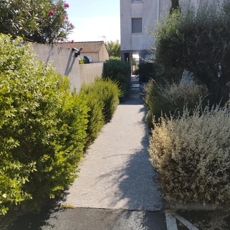 Appartement F3 en bordure de l étang de thau - Appartamento con 2 Camere da Letto - 3
