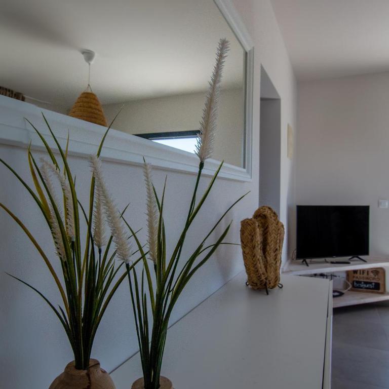 North Shore Villas Lajares, VILLA ALEGRE 30B - Villa de 2 dormitorios - 12