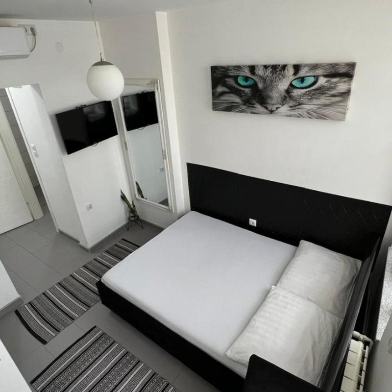 Apartmani Aurora - Apartman - 6