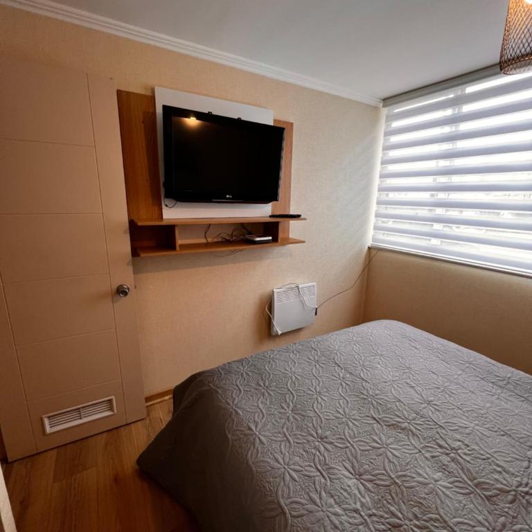 Volcano View Apartments - Apartamento - Planta baja - 8