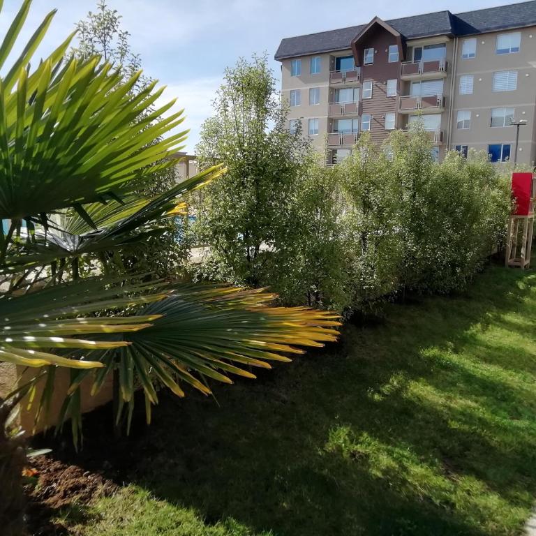 Volcano View Apartments - Apartamento - Planta baja - 19