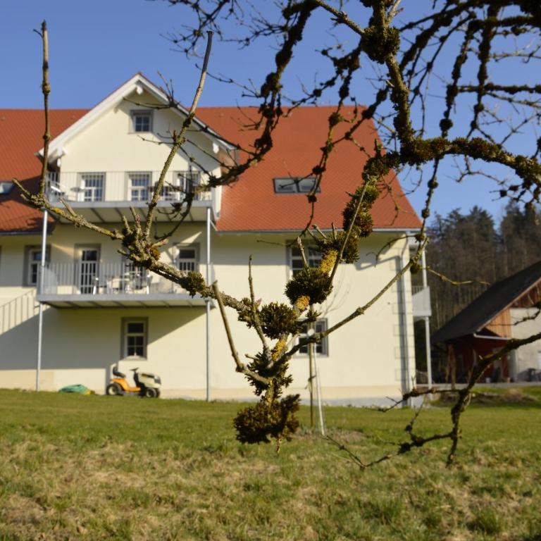Goldschmiedsmühle - Deluxe Apartment - 17