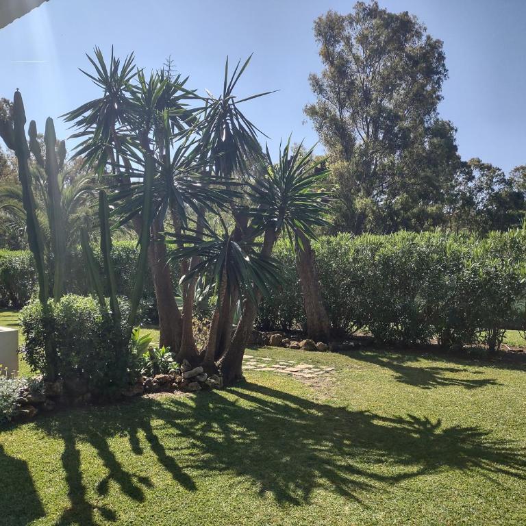 Puerto Banus Apartment near beachfront, big sunny terrace, pool, tennis court, parking & movies projector - One-Bedroom Apartment - 42