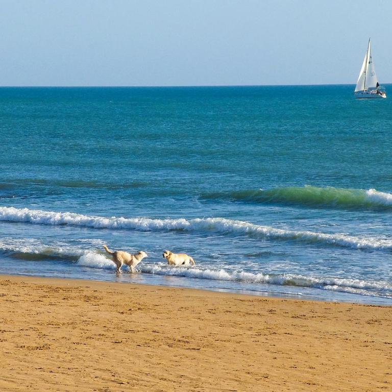 2 Bedroom Gorgeous Home In Marina Di Ragusa - Casa Vacanze con 2 Camere da Letto - 22