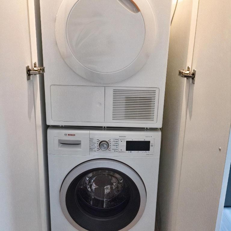 Lakeview Panorama Penthouse with Washer & Dryer - One-Bedroom Apartment - 13