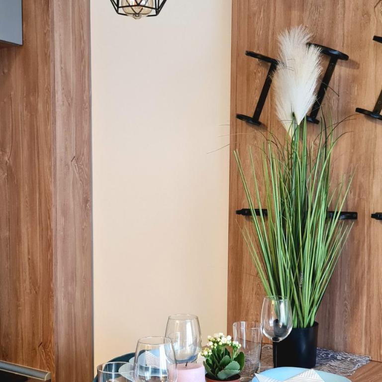 Adoro Titova Vila - Apartman sa 1 Spavaćom Sobom - 11