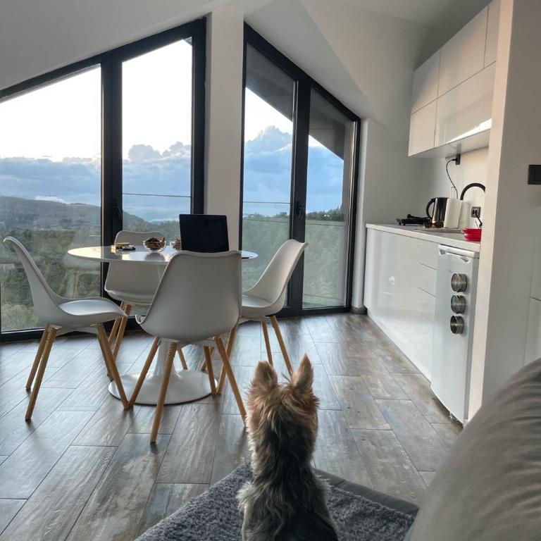 Diamond 4 Divcibare - Apartman sa 1 Spavaćom Sobom - 18
