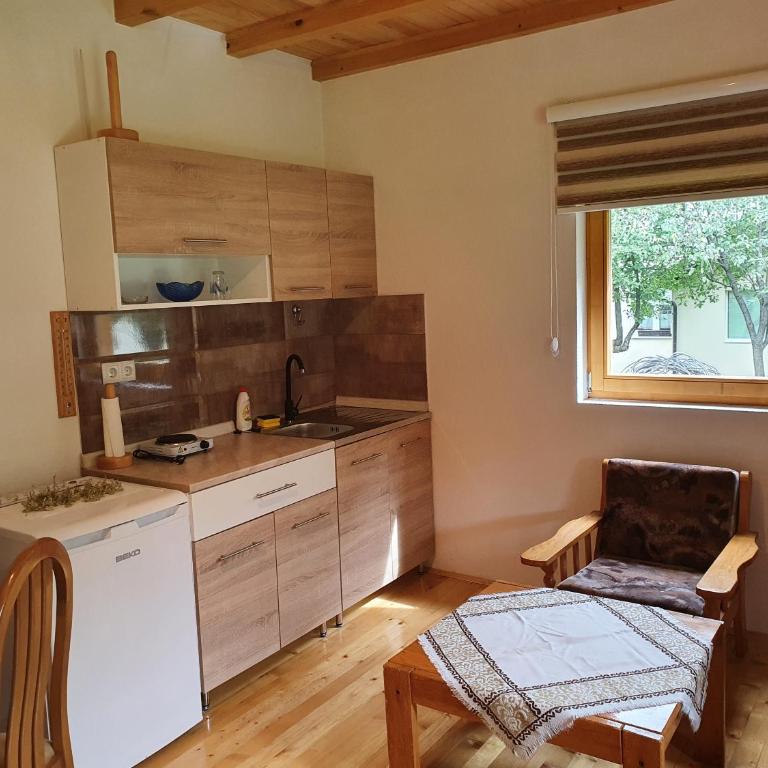 Pan Koran Vikendica Pale, Jahorina - Vacation Home - 21