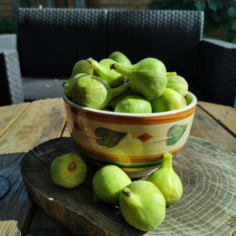 Apartment Smokva - Apartman sa 1 Spavaćom Sobom - 8