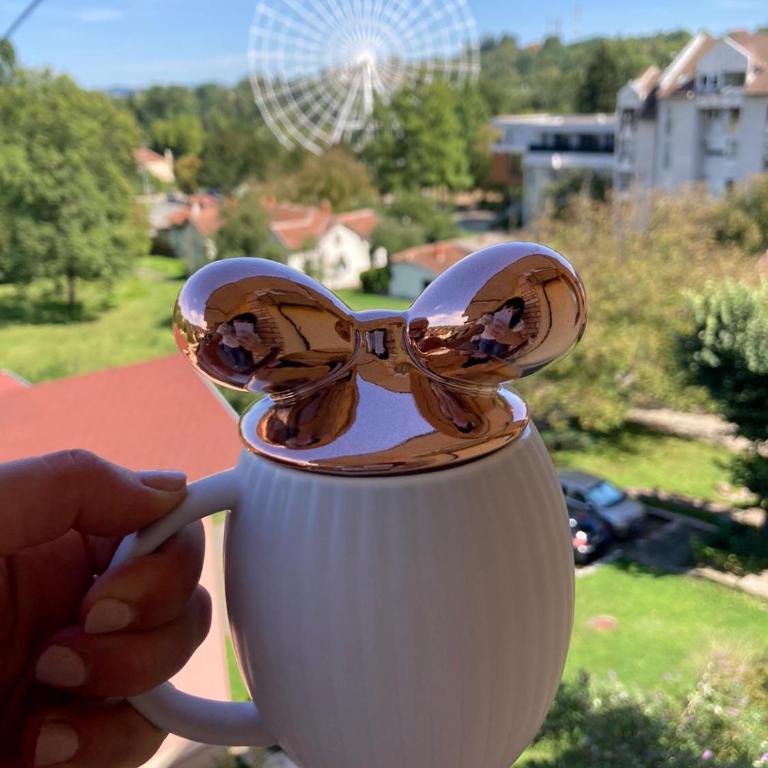 M&L Apartman Vrnjačka banja - Apartman sa 1 Spavaćom Sobom - 1